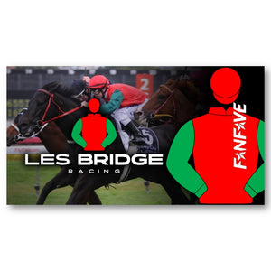 Les Bridge - Stubby Cooler